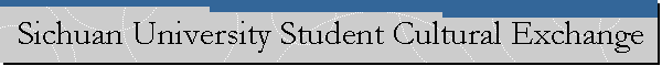 Sichuan University Student Cultural Exchange